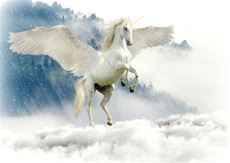 Upon a White Horse | Mythical creatures, Horses, Dancing animals