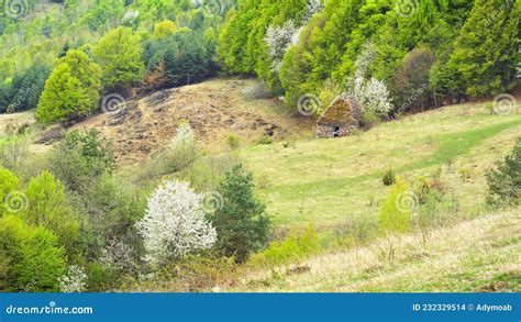 Apuseni Nature Park - Transylvania, Romania Stock Photo - Image of hill ...