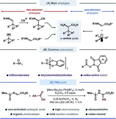 Stereoselective synthesis of unnatural α-amino acid derivatives through photoredox catalysis ...