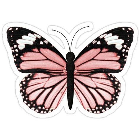 Pink and Black Butterfly Stickers