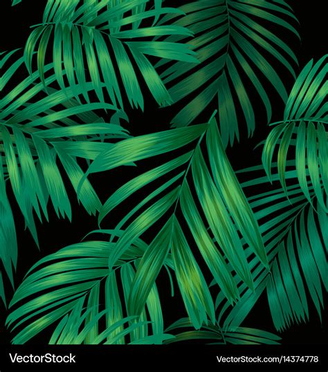 Palm leaf pattern Royalty Free Vector Image - VectorStock