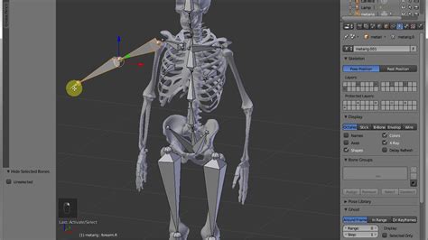 Skeleton rig and animation blender tutorial Blender ATX - YouTube