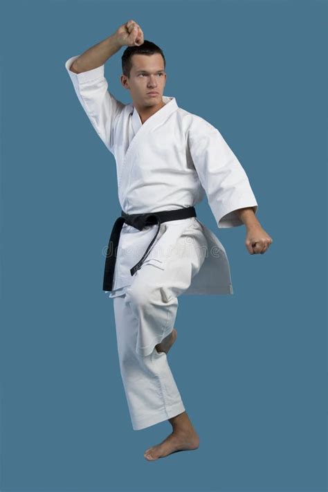 Karate kata stock photo. Image of person, tough, working - 27198046