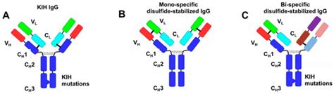 Antibodies | Special Issue : Bispecific Antibodies-Opportunities and Challenges