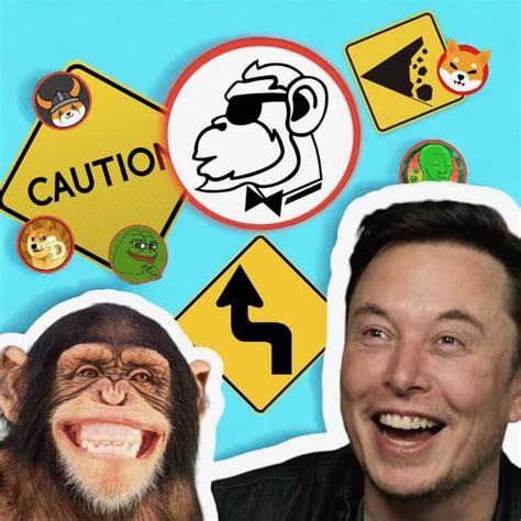 Elon Musk, Memes, and Monkeys: Navigating the New Crypto Landscape – Cryptopolitan