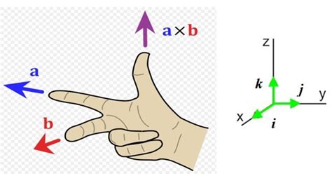 Regla De La Mano Derecha Campo Magnetico - XIli