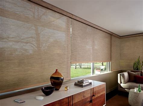 Hunter Douglas Designer Screen Shades | Contemporary window treatments ...