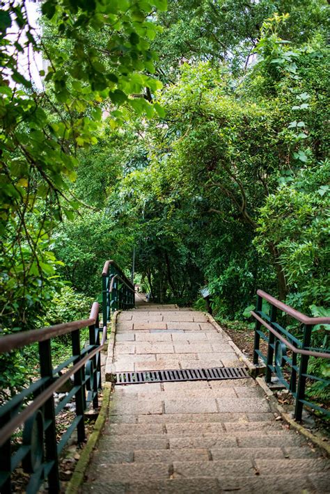 Views Over Taipei: Hiking Elephant Mountain and Visiting Taipei 101 | Wander The Map