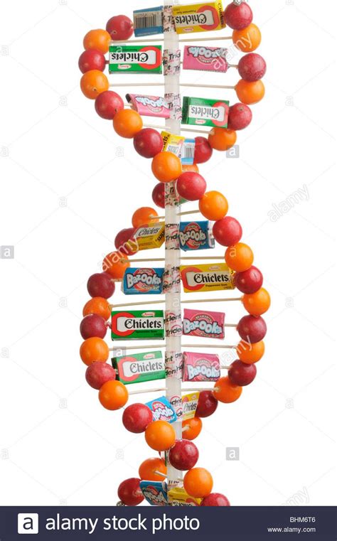 DNA double helix model made of gum balls and candy boxes and wrappers ...