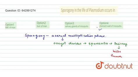 Sporogony in the life of Plasmodium occurs in