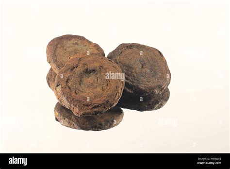 Bog iron hi-res stock photography and images - Alamy