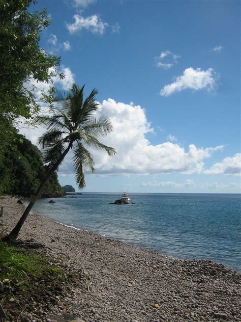 Daily Photos & Frugal Travel Tips » Blog Archive » Champagne Reef, Dominica | Dominica, Mother ...