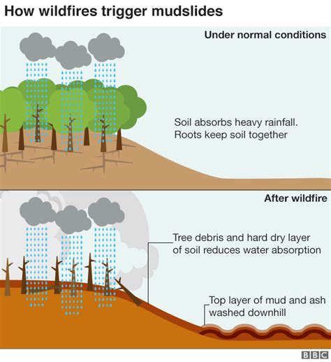 Mudslide Before And After