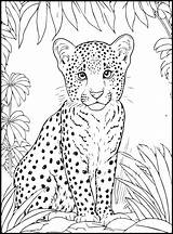 Cute Animals Coloring Pages For Kids 17382429 Vector Art At Vecteezy sketch template