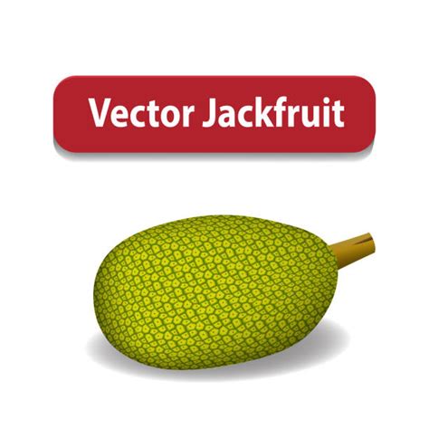 Jackfruit Illustrations, Royalty-Free Vector Graphics & Clip Art - iStock