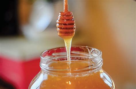 5 Steps to Take When Harvesting Honey