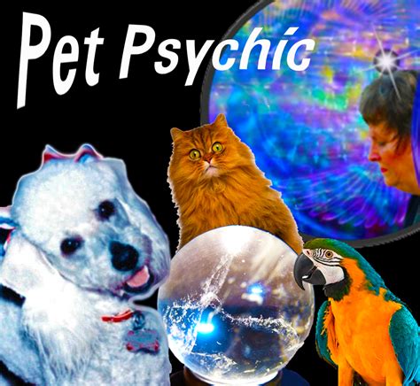 Pet Psychic – Laverne E Denyer