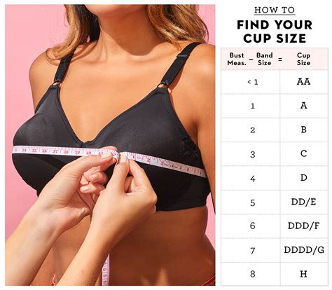 Bra Cup Size Comparison Pictures