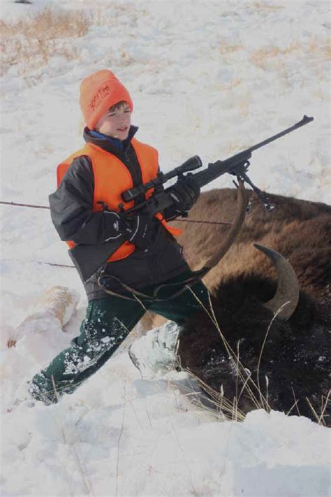 Bison (American Buffalo) - Hunting - 033: Animal Exploitation Photo ...