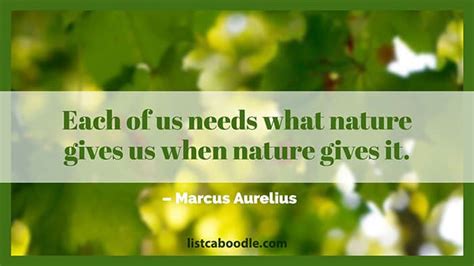 20 Best Marcus Aurelius Quotes: Meditations, Stoicism, Fate