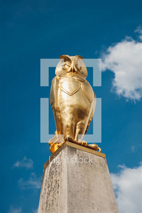 Gold owl statue — Photo — Lightstock