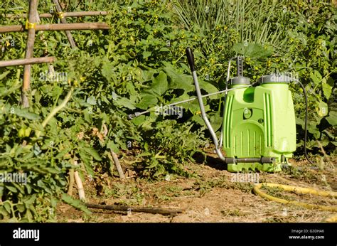 Green Pesticide Applicator and Dispenser pump next to vegetable garden. Spain Stock Photo - Alamy