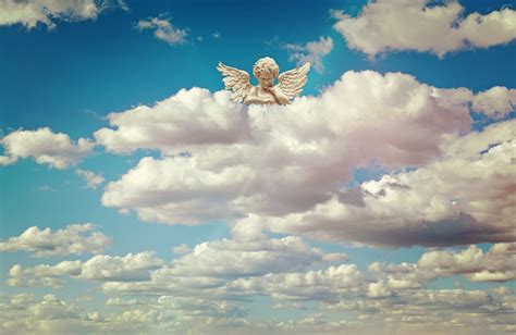 Free Images : horizon, wing, white, prairie, sunlight, cumulus, blue, plain, monitor, clouds ...