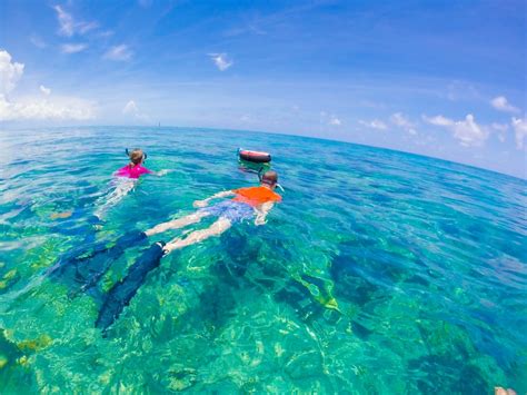 17 Top Spots for Snorkeling in Florida - American Oceans