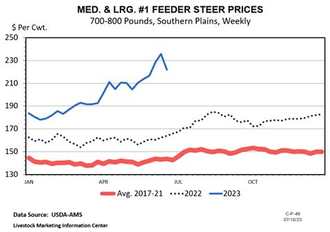 National Beef Wire | Comparing Our Current Feeder Cattle Market to