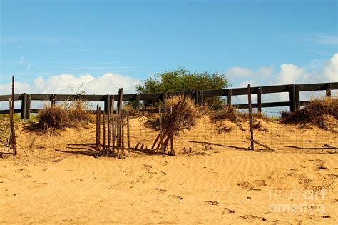 Sand Fence Photograph by Byron Fair | Pixels