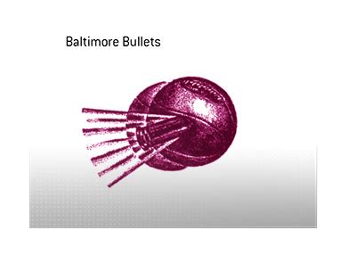 The Baltimore Bullets: The Last NBA Franchise To Fold