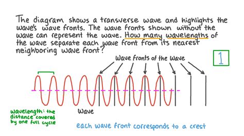 Question Video: Representing a Transverse Wave Using Wave Fronts | Nagwa