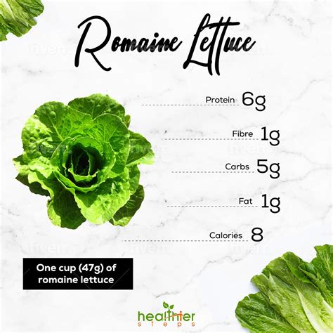 Romaine Lettuce Nutrition and Benefits - Healthier Steps