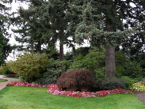 Evergreen Arboretum and Gardens | Seattle and Sound