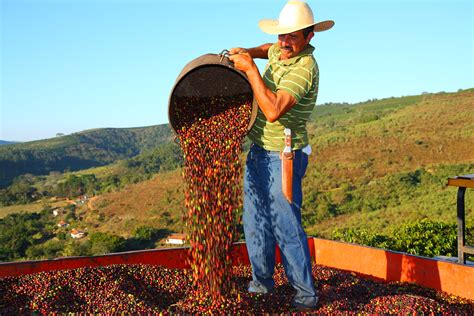 Coffee Futures to Soar as Climate Changes