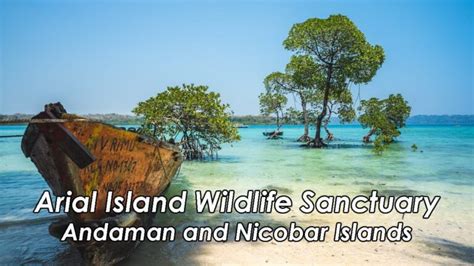 List of Wildlife Sanctuaries in Andaman and Nicobar Islands - Aryan Go