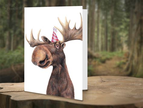 Funny Birthday Animal Cards Set of 6 Greeting Cards - Etsy