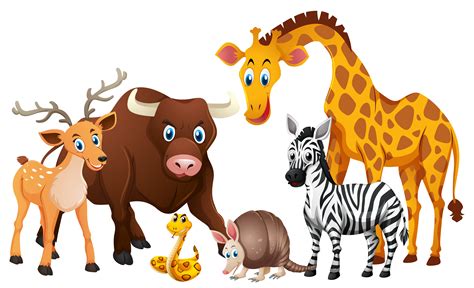 Wild animals on white background 369578 Vector Art at Vecteezy