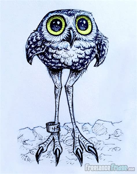 Burrowing Owl Cartoon Drawing : Freelance Fridge- Illustration & Character Development