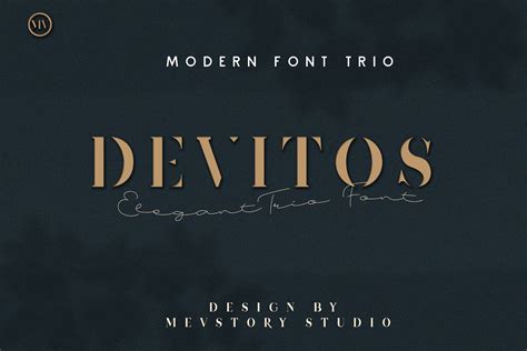 Devitos Modern & Elegant Serif Font By Mevricks Studio | TheHungryJPEG