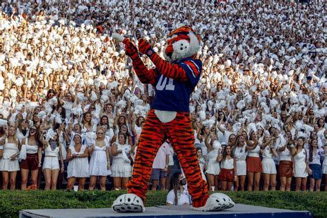 Inside Aubie the Tiger’s long legacy as a beloved ‘prankster’ - al.com