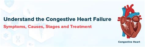 Understand The Congestive Heart Failure Symptoms, Causes, Stages and Treatment | Ganesh Diagnostic