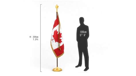 3D Canadian Flag Pack - TurboSquid 1626843