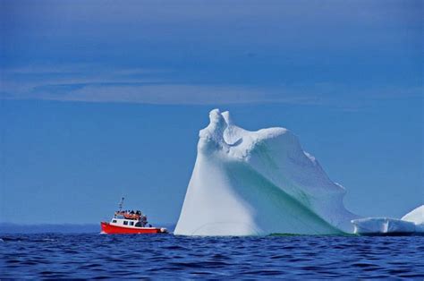 Kayaking in Iceberg Alley, Twillingate,Newfoundland