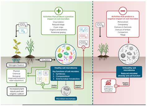 Sustainability | Free Full-Text | Regenerative Agriculture—A Literature ...