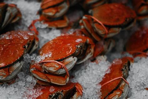 The 7 Best Seafood Market Tampa Offers in 2023 - Tampa Bay Travel Guides