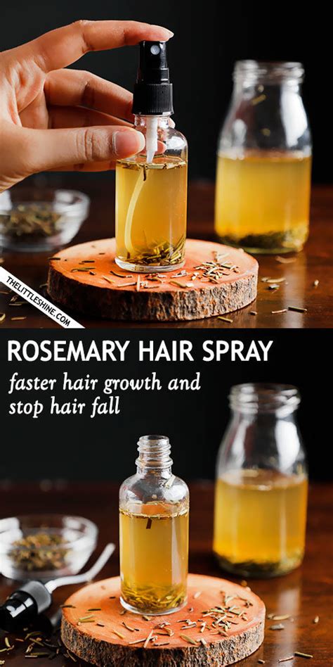 ROSEMARY HAIR SPRAY FOR HAIR GROWTH AND STOP HAIR FALL - The Little Shine