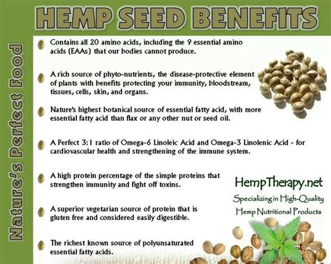 Hemp seed benefits | Hemp seeds, Hemp, High energy foods