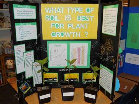 Science Fair Ideas For Plants