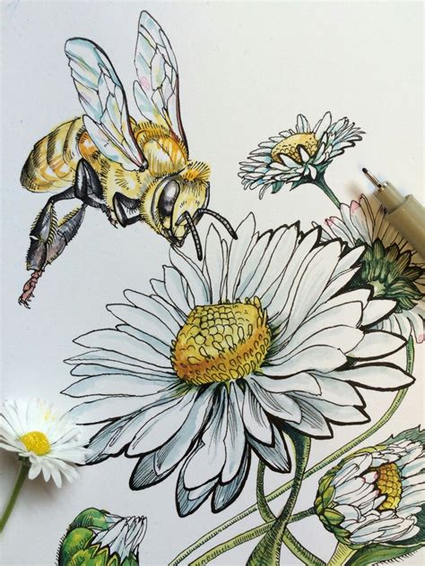 Pin by Kathy Hansen on Sketch 101 | Bee art, Watercolor art, Bee drawing